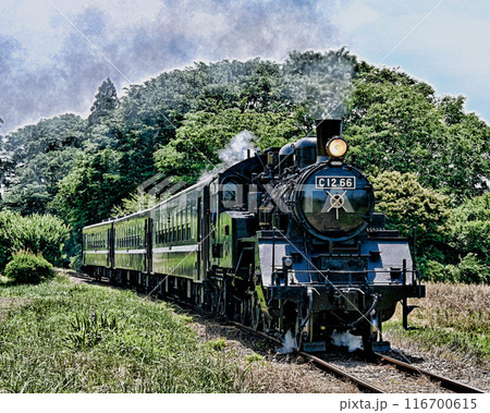真岡鉄道の蒸気機関車 真岡鉄道の蒸気機関車 116700615