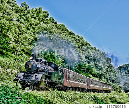 真岡鉄道の蒸気機関車 真岡鉄道の蒸気機関車 116700616