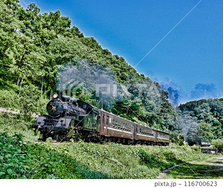 真岡鉄道の蒸気機関車 真岡鉄道の蒸気機関車 116700623