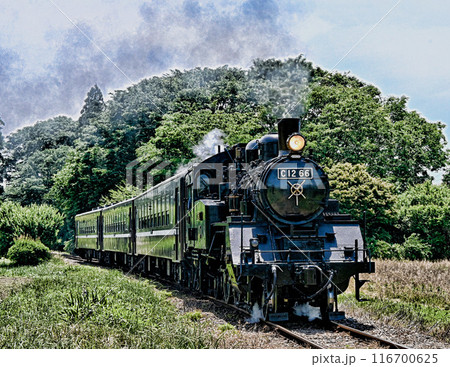 真岡鉄道の蒸気機関車 真岡鉄道の蒸気機関車 116700625
