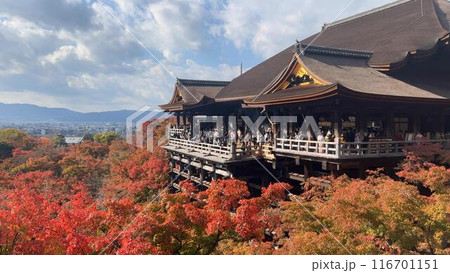 京都の有名な観光地のお寺と紅葉 116701151