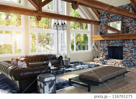 modern luxury house interior. 116701275