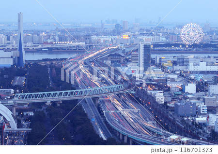 東京湾岸道路と観覧車が見える風景 東京湾岸道路と観覧車が見える風景 116701373