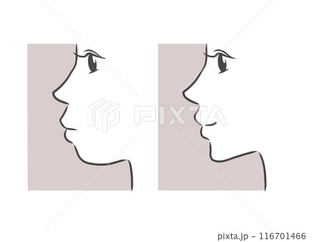 横顔の女性のイラスト 横顔の女性のイラスト 116701466