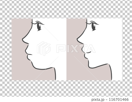 横顔の女性のイラスト 横顔の女性のイラスト 116701466