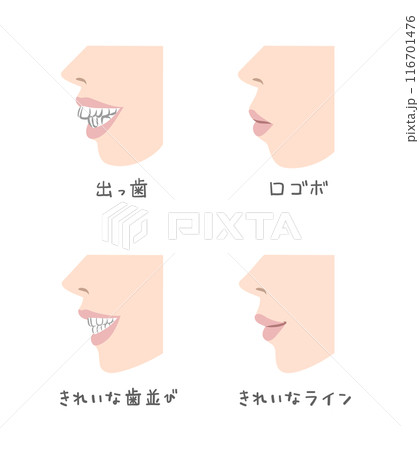 横から見た女性の口元のイラスト 横から見た女性の口元のイラスト 116701476
