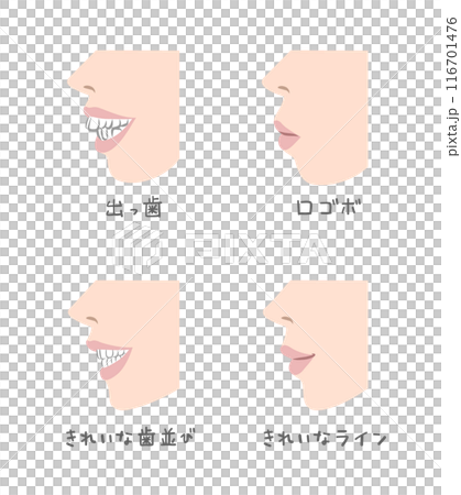 横から見た女性の口元のイラスト 横から見た女性の口元のイラスト 116701476