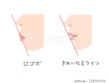 横から見た女性の口元のイラスト 横から見た女性の口元のイラスト 116701478