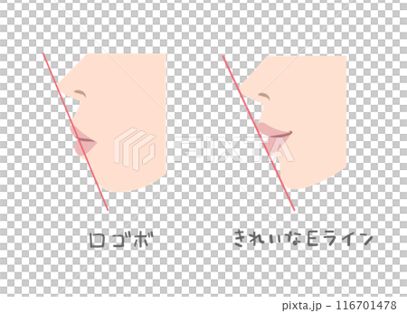 横から見た女性の口元のイラスト 横から見た女性の口元のイラスト 116701478