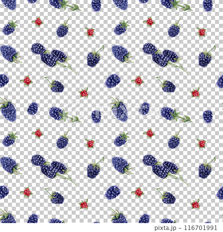 Blackberries. Seamless pattern of Bramble. Flying forest and garden berries. Dewberry and boysenberry. Black raspberries. Natural food. Watercolor illustration. For package, kitchen textile Blackberries. Seamless pattern of Bramble. Flying forest and garden berries. Dewberry and boysenberry. Black raspberries. Natural food. Watercolor illustration. For package, kitchen textile 116701991