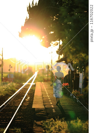 夏の木漏れ日と田舎の駅舎	 116702022