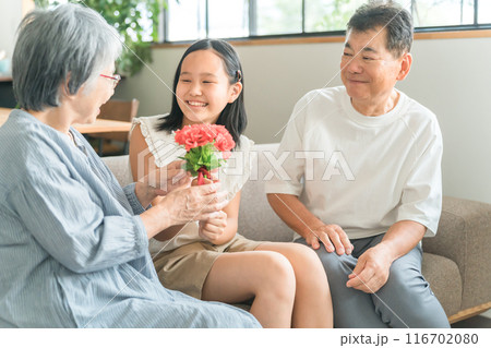 祖父母に敬老の日のお祝いに花束をプレゼントする孫・女の子 116702080