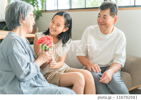 祖父母に敬老の日のお祝いに花束をプレゼントする孫・女の子 116702081