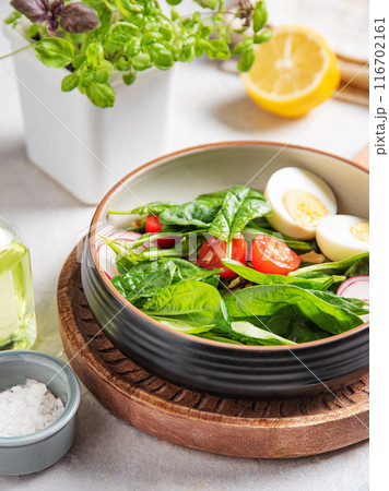 Fresh salad of green spinach leaves, tomatoes, microgreens basil, boiled egg, red radish 116702161