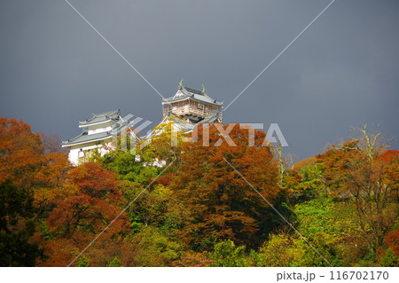 鉛色の空を背景に紅葉に染まる越前大野城の天守　Ver1 116702170