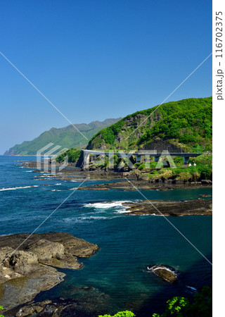 積丹半島 116702375