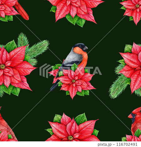Winter time festive seamless pattern. Vintage style illustration. Traditional Christmas decor, poinsettia flowers, birds painted elements. Winter season bright seamless pattern on dark background 116702491