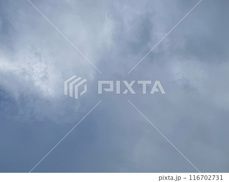 晴れた日の青空に浮かぶ白い雲/The blue sky and clouds 116702731