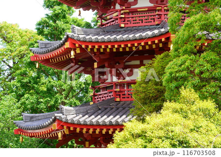 川崎大師の八角五重塔（神奈川県川崎市川崎区） 116703508