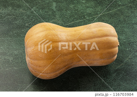 Raw ripe organic Butternut Pumpkin Raw ripe organic Butternut Pumpkin 116703984