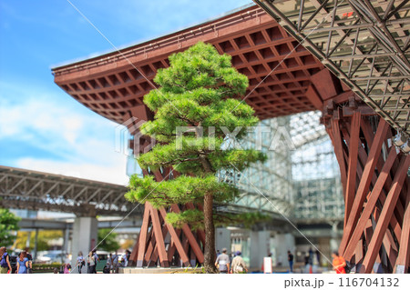 金沢駅前の美しい風景 金沢駅前の美しい風景 116704132
