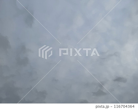 曇った日の、空を覆う灰色の雲/The sky 曇った日の、空を覆う灰色の雲/The sky 116704364