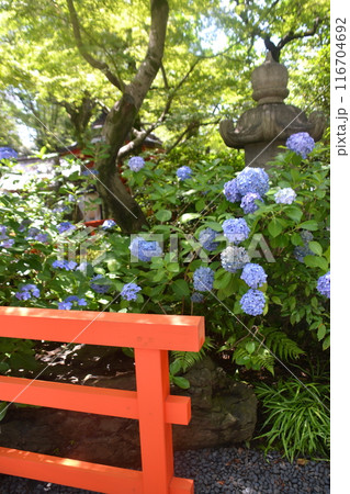 愛宕神社 116704692