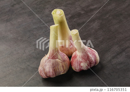 Young garlic heap for cooking 116705351