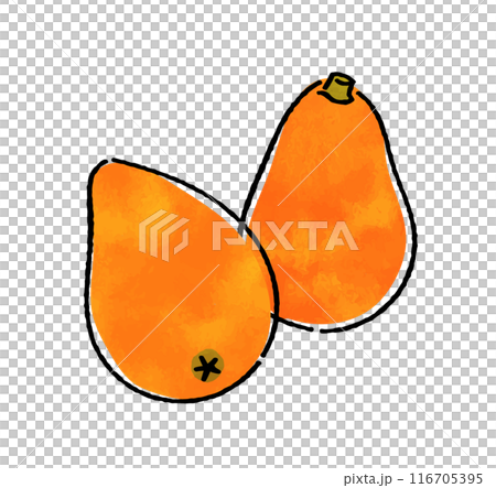 Loquat 116705395