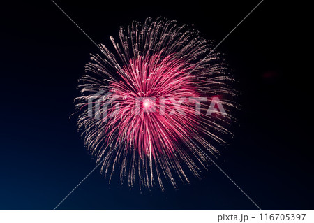 呉の夏祭り 海上花火大会 クローズアップ ピンク、白 呉の夏祭り 海上花火大会 クローズアップ ピンク、白 116705397