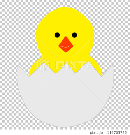 Cute chick 116705756