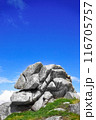 spectacular grag on the Breton coast 116705757