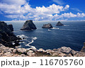 wonderful landscape of Pen Hir 116705760