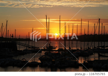 Wonderful sunset on the harbour 116705765
