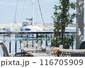 Outdoor Dining Area with Marina View 116705909