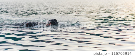 A professional triathlete trains with unwavering dedication for an upcoming competition at a lake, emanating a sense of athleticism and profound commitment to excellence. 116705914