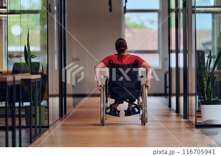 A modern young businesswoman in a wheelchair is surrounded by an inclusive workspace with glass-walled offices, embodying determination and innovation in the business world A modern young businesswoman in a wheelchair is surrounded by an inclusive workspace with glass-walled offices, embodying determination and innovation in the business world 116705941