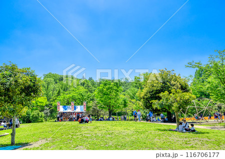 春の生田緑地　夏祭り＆ピクニック 116706177