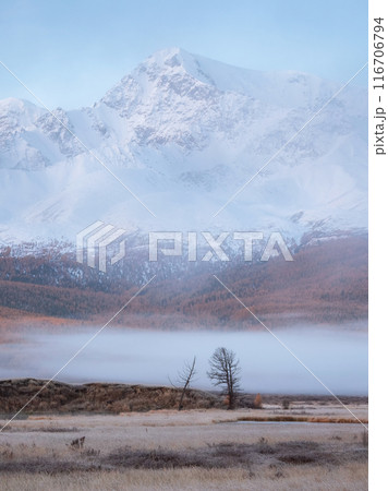 Autumn misty morning on mountain plateau. Vertical view. 116706794
