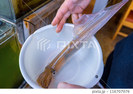 【#料理】ヤリイカ 116707076