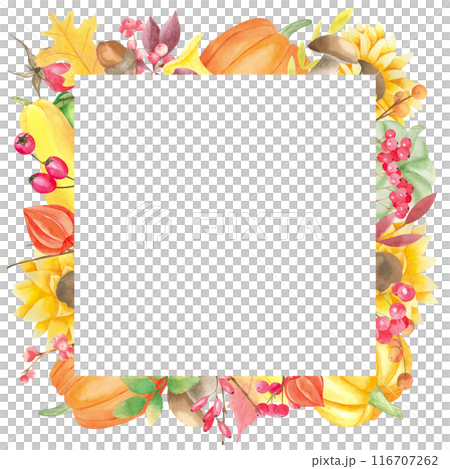 Watercolor autumn frame with pumpkins, sunflowers, red berries, acorn, branch, oak leaves. Square template for thanksgiving cards, greeting cards, scrapbooking. Decorative fall wreath 116707262