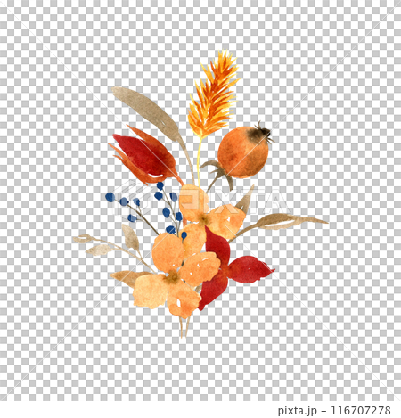 Watercolor autumn dried flowers and leaves arrangement isolated on white background. Hand drawn floral illustration. Botanical clipart for greeting cards, design of stationery, invitation, packaging Watercolor autumn dried flowers and leaves arrangement isolated on white background. Hand drawn floral illustration. Botanical clipart for greeting cards, design of stationery, invitation, packaging 116707278