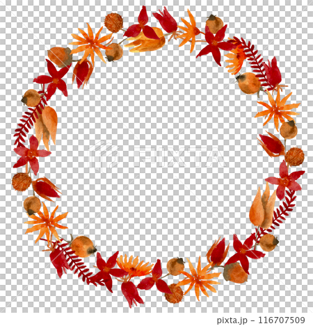 Watercolor hand drawn dried flowers wreath isolated on white background. Floral frame with autumn leaves and branches. Botanical illustration for greeting cards, invitations, design of stationery Watercolor hand drawn dried flowers wreath isolated on white background. Floral frame with autumn leaves and branches. Botanical illustration for greeting cards, invitations, design of stationery 116707509