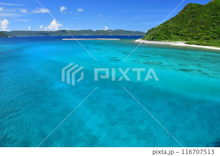 阿嘉島　慶良間諸島　沖縄 116707513