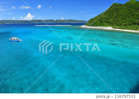 阿嘉島 慶良間諸島 沖縄 阿嘉島 慶良間諸島 沖縄 116707515
