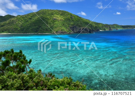 阿嘉島　慶良間諸島　沖縄 116707521