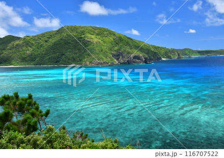 阿嘉島　慶良間諸島　沖縄 116707522