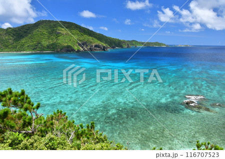 阿嘉島　慶良間諸島　沖縄 116707523