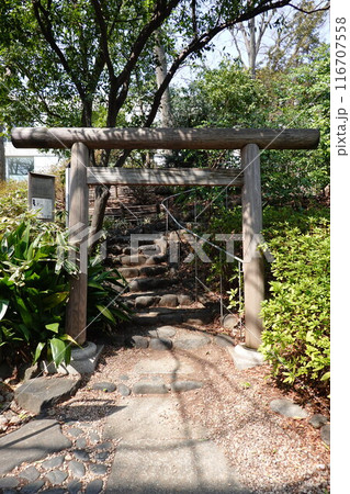 猿楽神社 猿楽神社 116707558