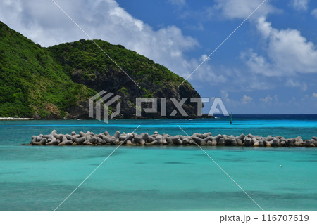 阿嘉島　慶良間諸島　沖縄 116707619